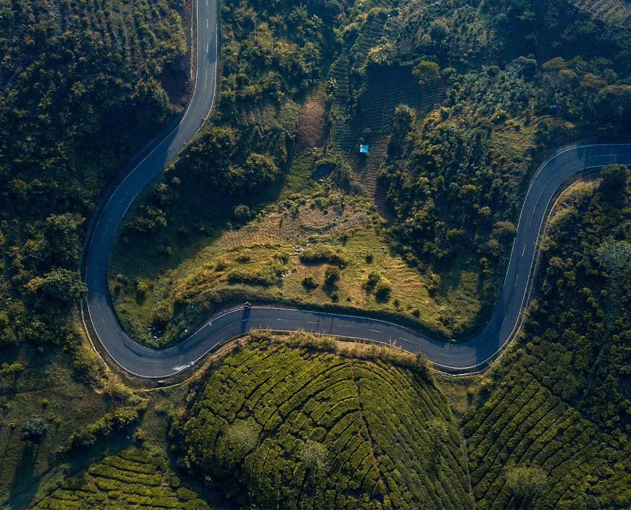 Savoring the Essence of Sahyadri Mountain Tea: Crafting a Symphony of Taste